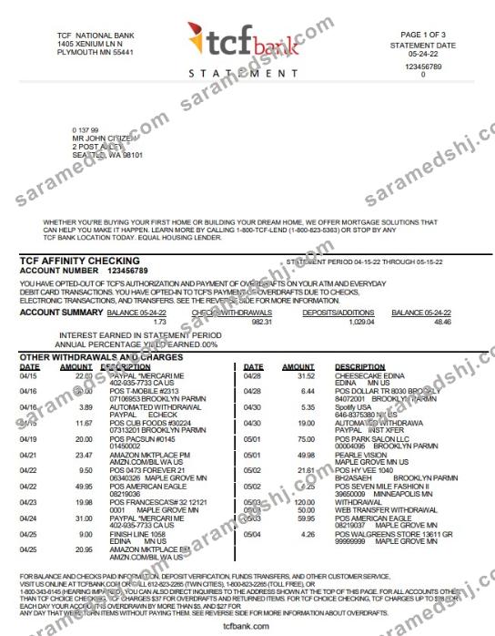 USA TCF Bank bank statement template in Word and PDF format